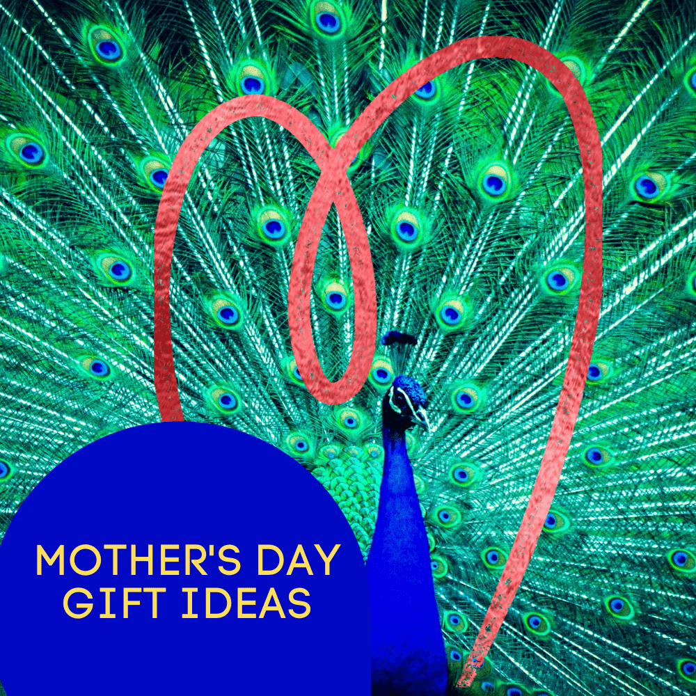 A blue peacock displaying a heart and a extended show of feathers-Mother's day gift ideas - Gizmo Gifts
