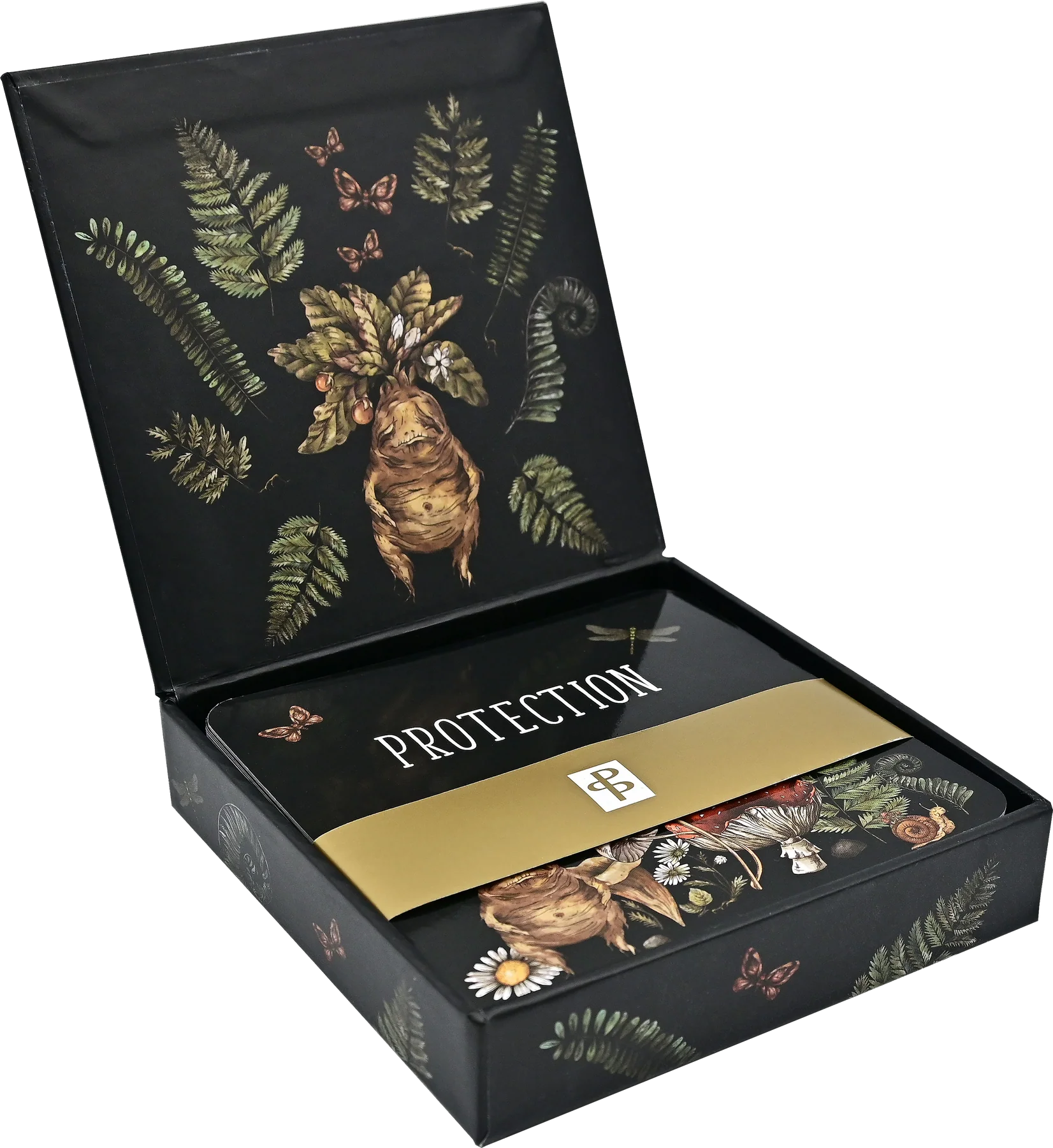 Decorative box with botanical design and 'PROTECTION' text on a white background