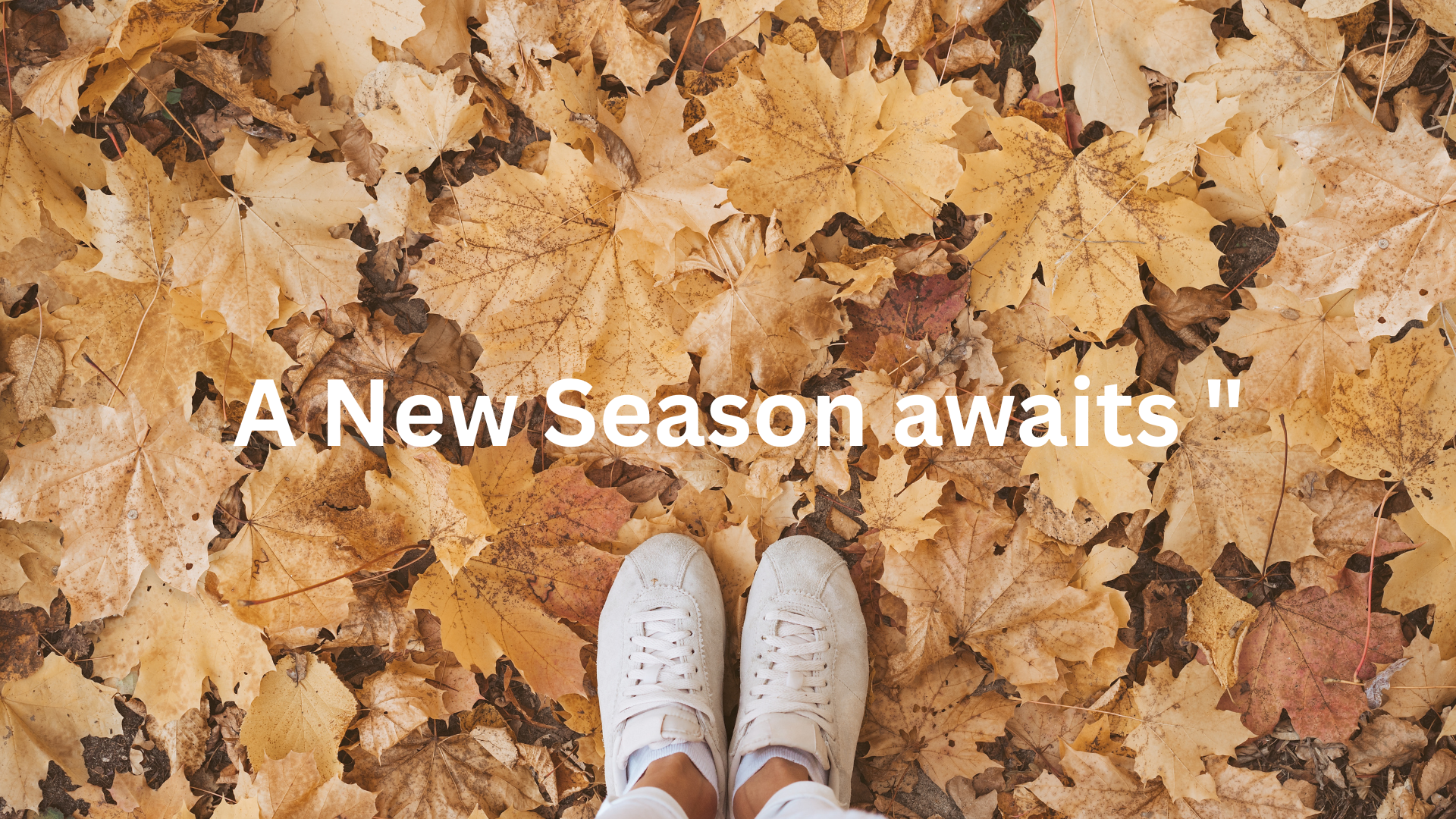 Pair of white sneakers on a bed of autumn leaves with text 'A New Season awaits'.