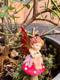 Fairy on mushroom 23cm (assorted)