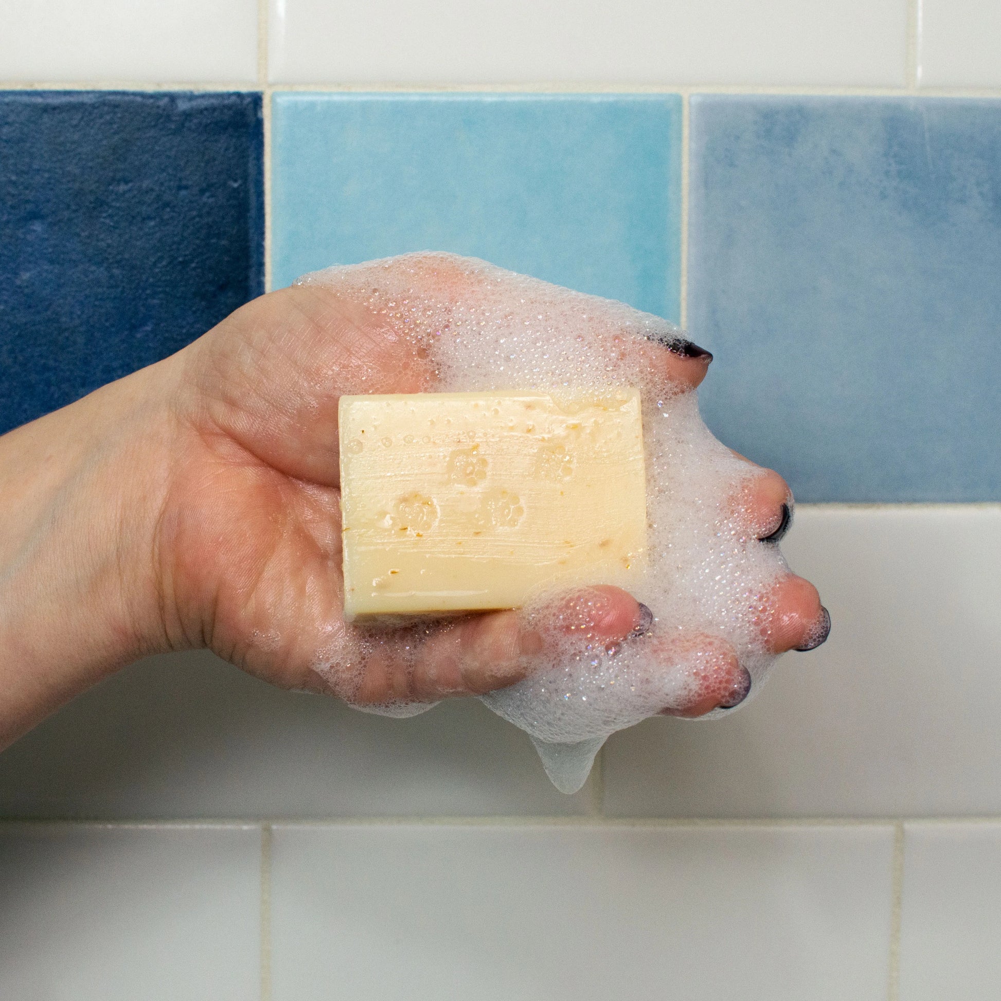 A hand extending and showing a sudsy bar of kitten soap. Featuring a background row of blue tiles.