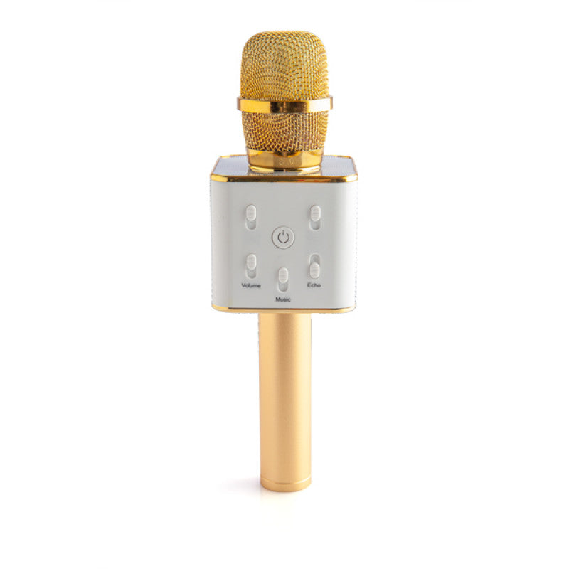Gold and silver microphone on a white background