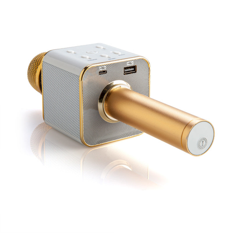 Gold and silver portable speaker on a white background