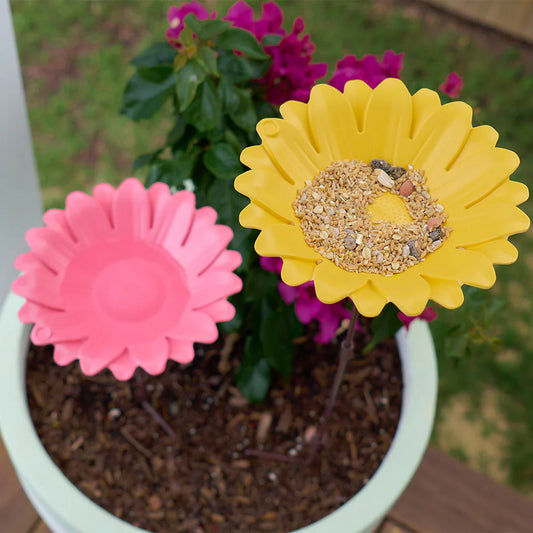Pink and yellow flower-shaped bird feeders in a pot with greenery in the background.
