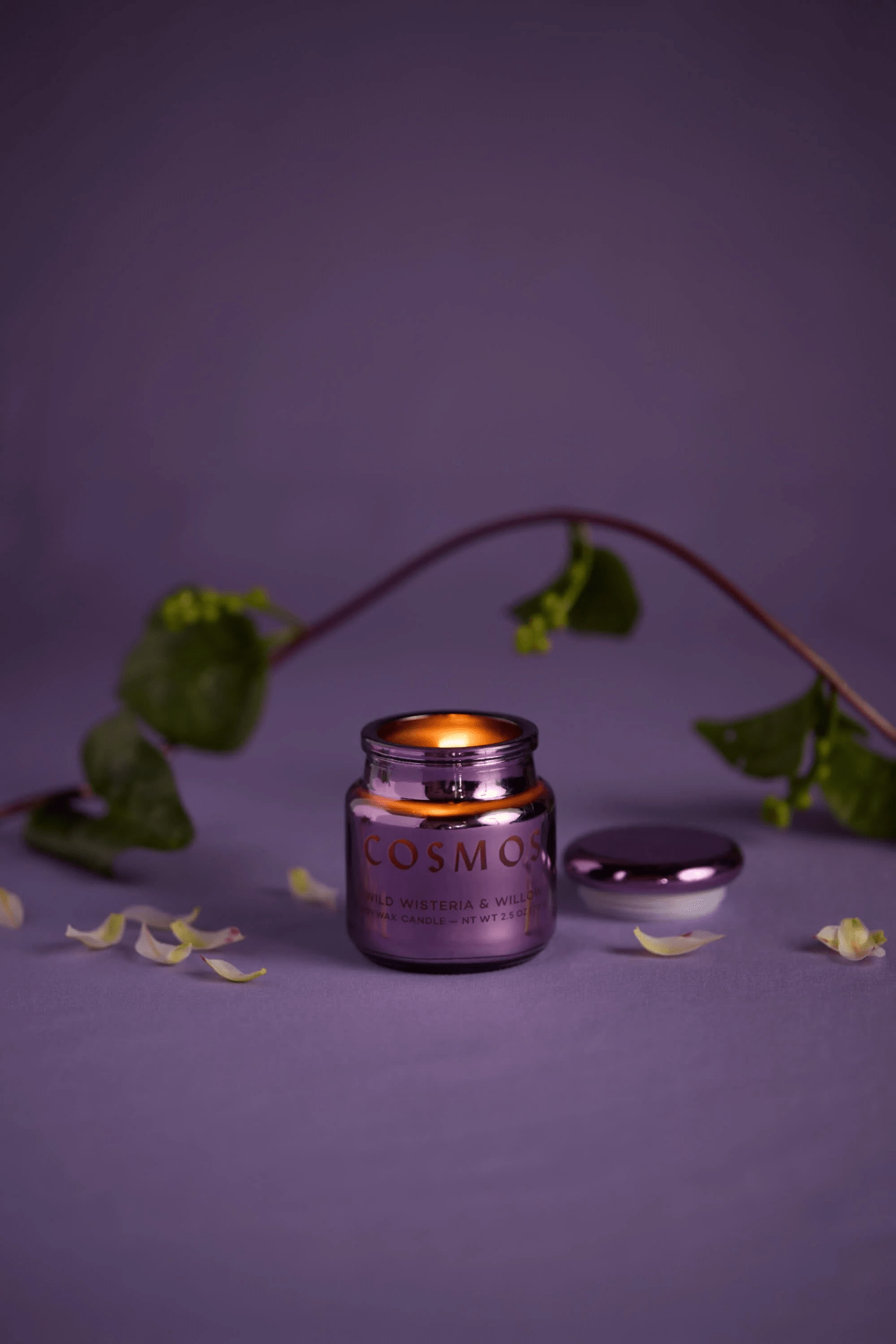 Candle - Paddywax Cosmos Violet Metallic 71g - Wisteria Willow - Gizmo Gifts