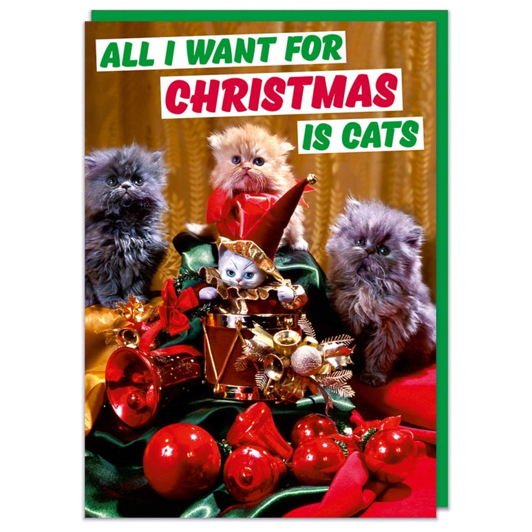 Greeting card with cats amongst Christmas decorations with text: All I want for Christmas is cats
