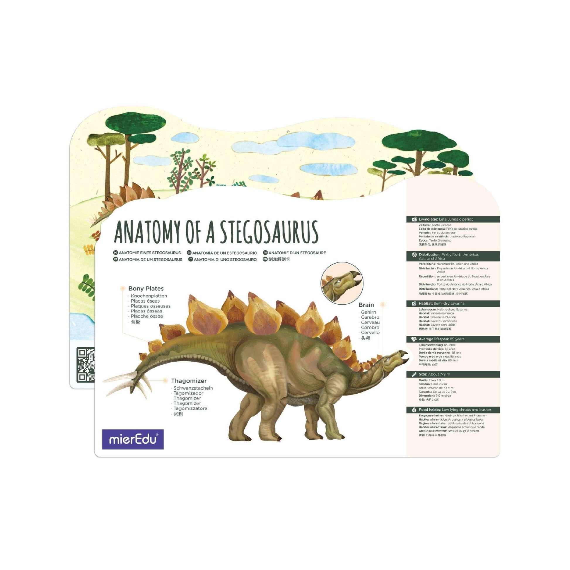 Eco 3D puzzle - Stegosaurus by MierEdu - Gizmo Gifts
