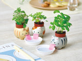 Mini pot growing kit-Peropon Panda/sweet basil