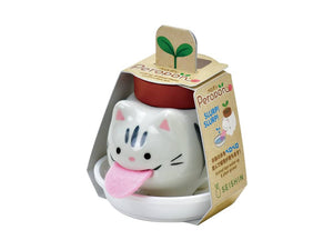 Mini pot growing kit-Peropon Cats Sabatora /sweet basil