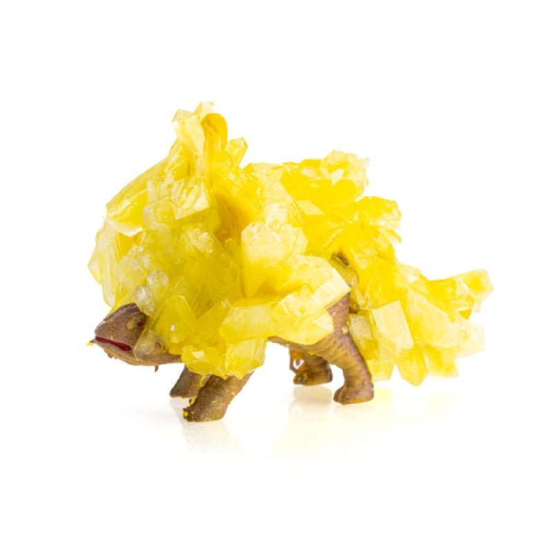 Grow your own crystal dinosaur - Gizmo Gifts