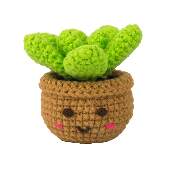 Crocheted succulent plant in a pot with facial features on a white background
