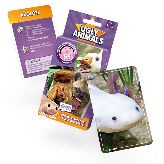 Ugly Animals card game packaging with cards featuring axolotl, dog, and shark.