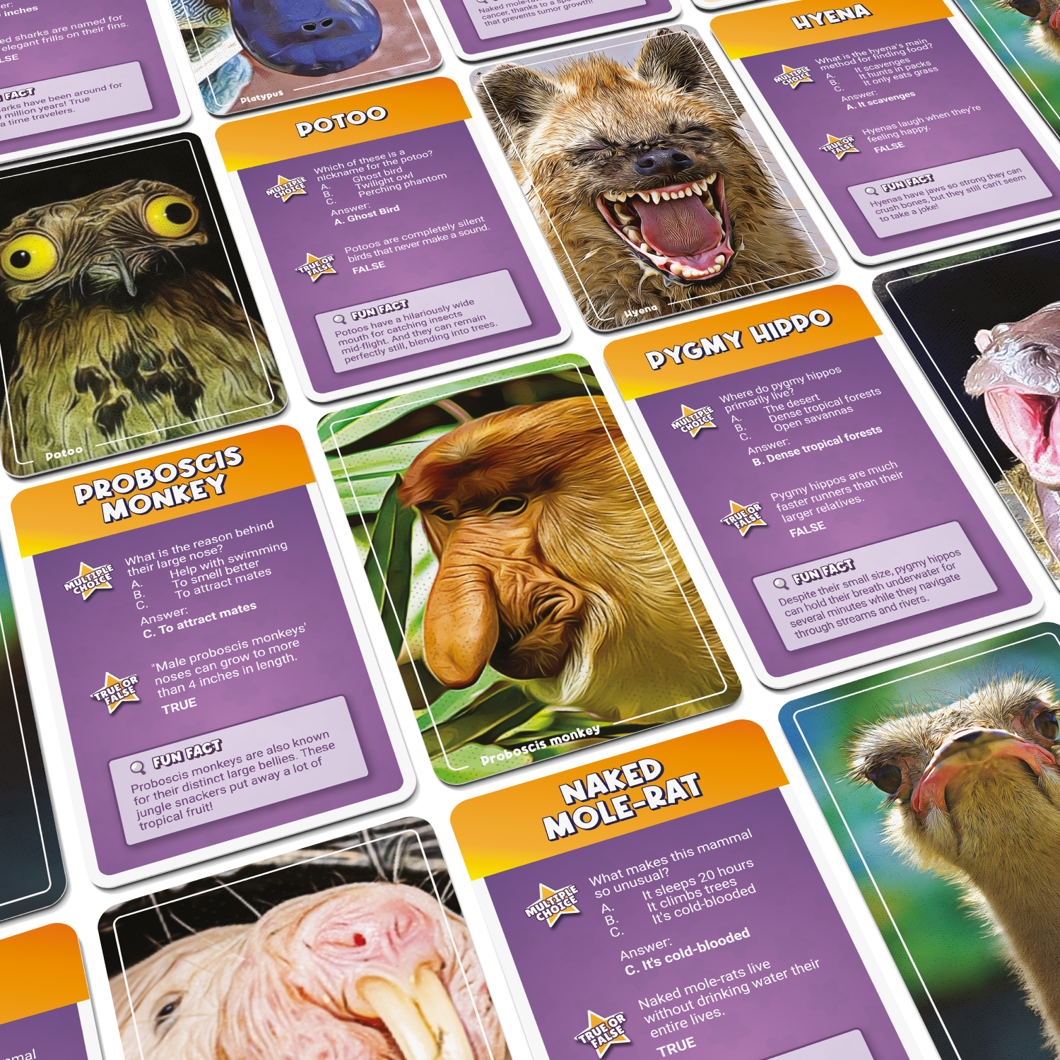 Collection of animal fact cards with various animals on a colorful background