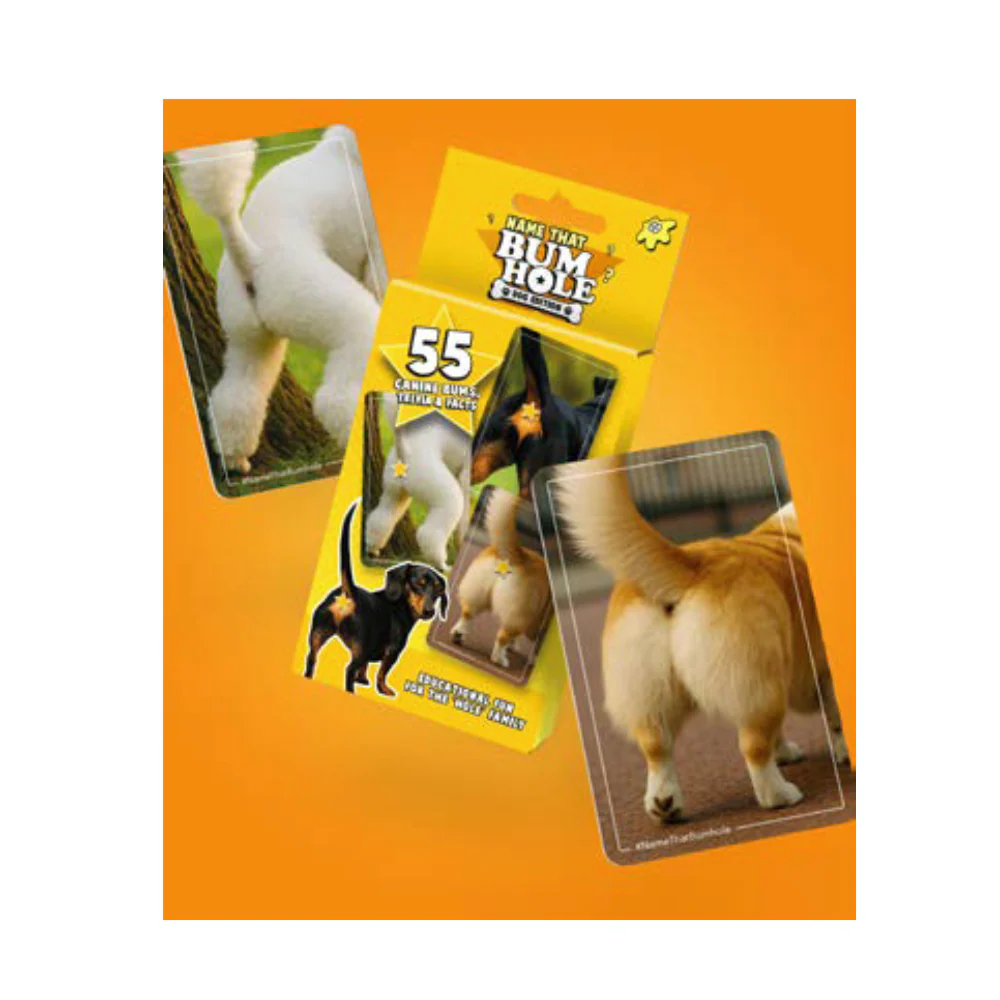 Card game packaging with animal illustrations on an orange background