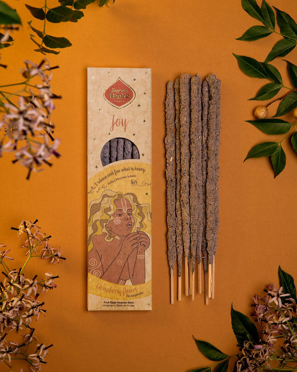 Air Joy Five Elements incense sticks(6 sticks)