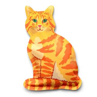 Ginger cat  ice pack on a white background.