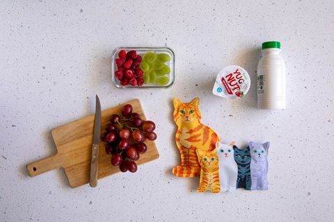A flat lay picture of food, chopping board and kitten ice packs.