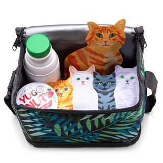 An open lunch box featuring some yogurt and the kitty icepadz.