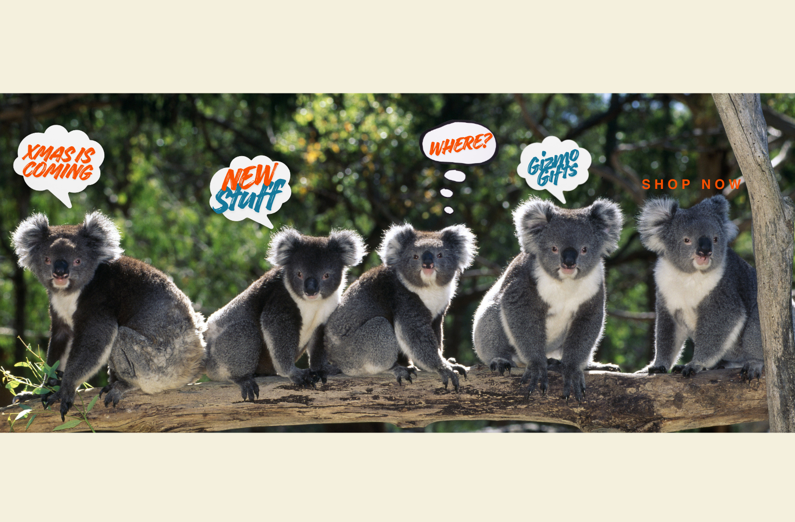 Five koalas on a branch with promotional text bubbles in the foreground.