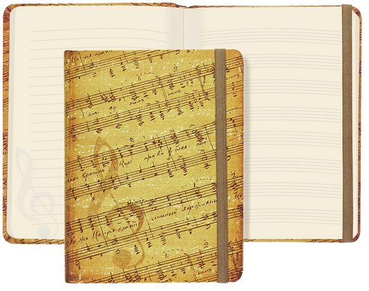 Journal- Mid music
