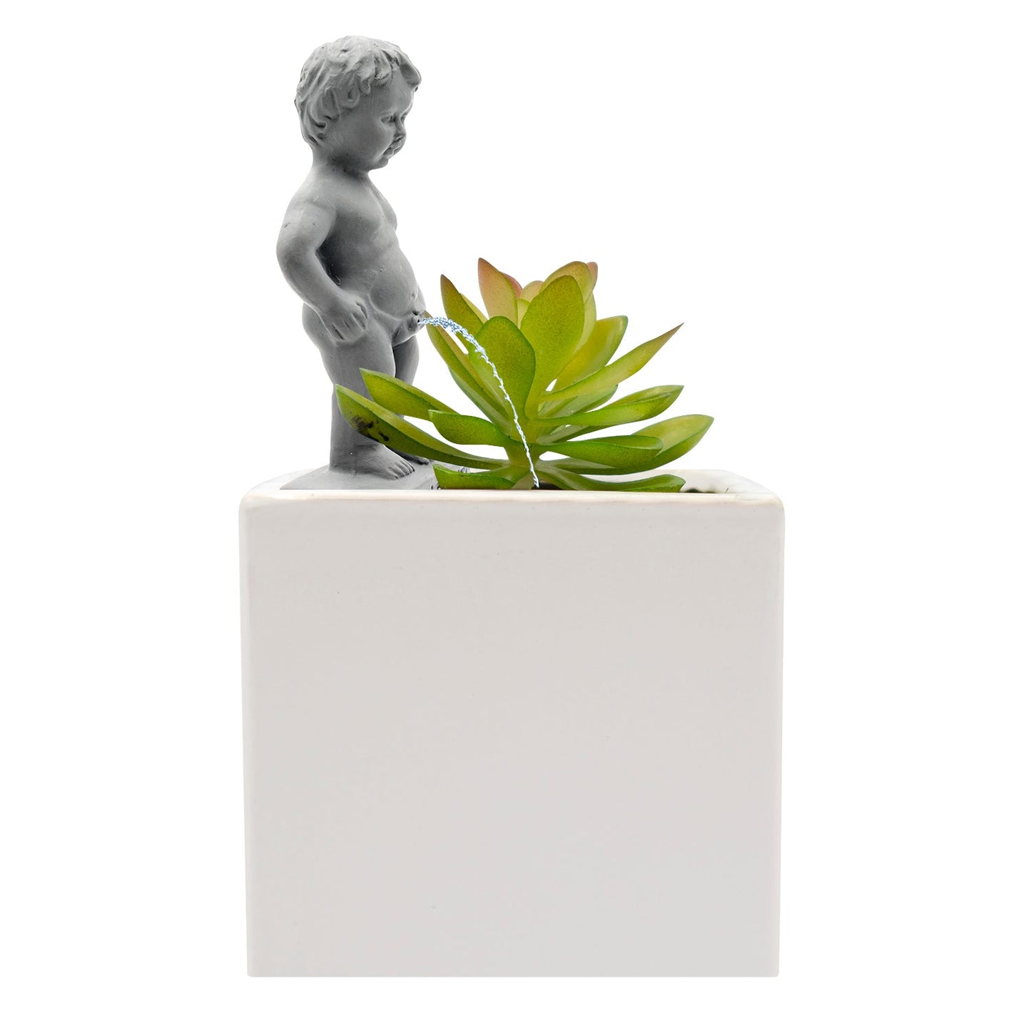 NPW Plant life Pee my plants waterer - Gizmo Gifts