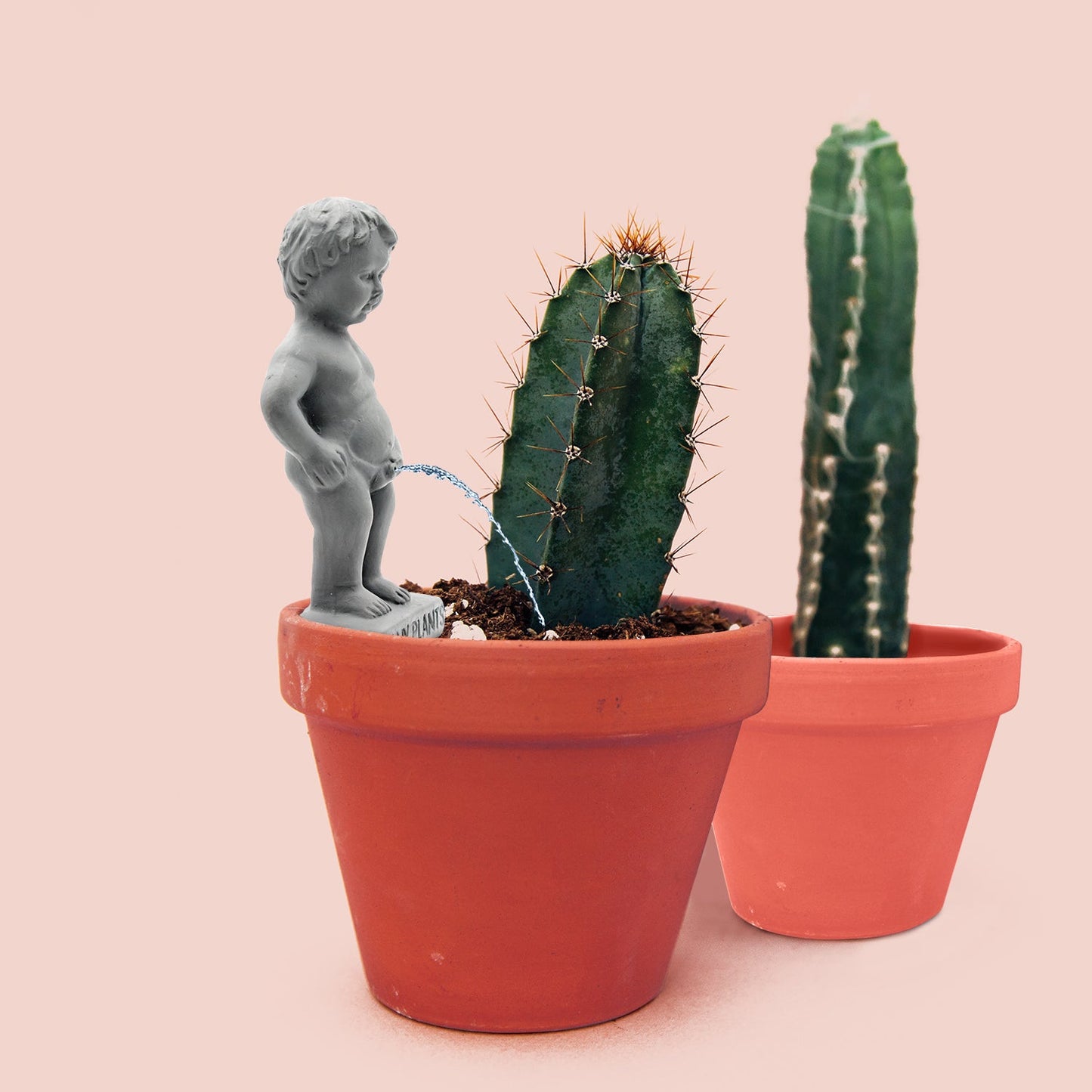 NPW Plant life Pee my plants waterer - Gizmo Gifts