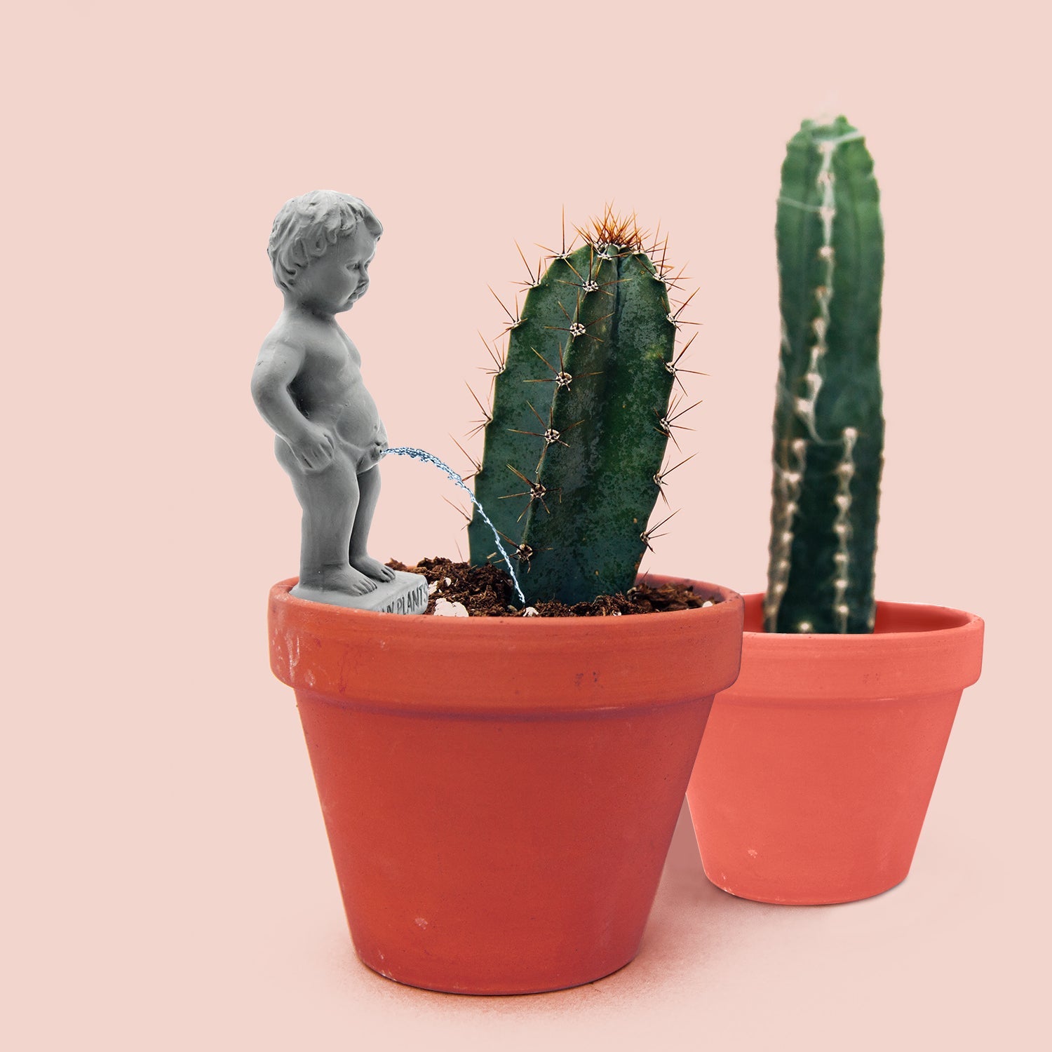 NPW Plant life Pee my plants waterer - Gizmo Gifts