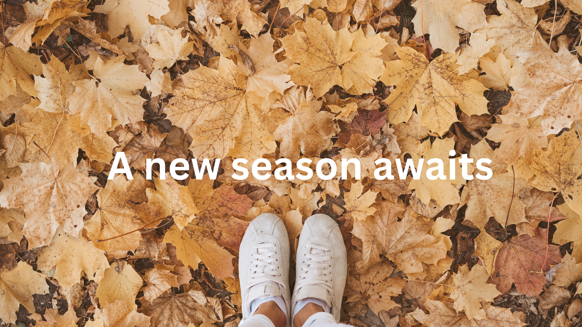 Pair of white sneakers on a bed of autumn leaves with text 'A new season awaits'.