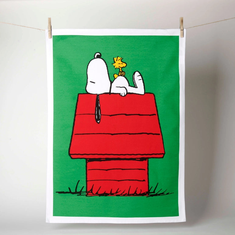 Snoopy and Woodstock on a red doghouse with a green background