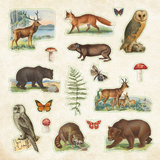 Sticker book Zoological Ephemera