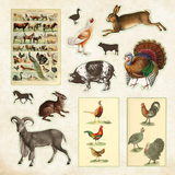 Sticker book Zoological Ephemera