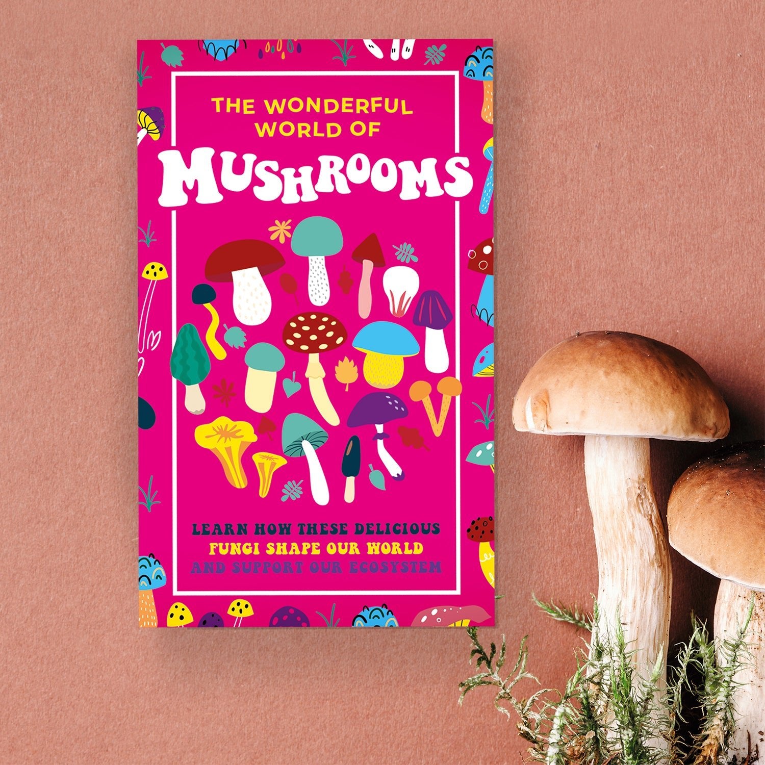 The wonderful world of mushrooms information card deck - Gizmo Gifts