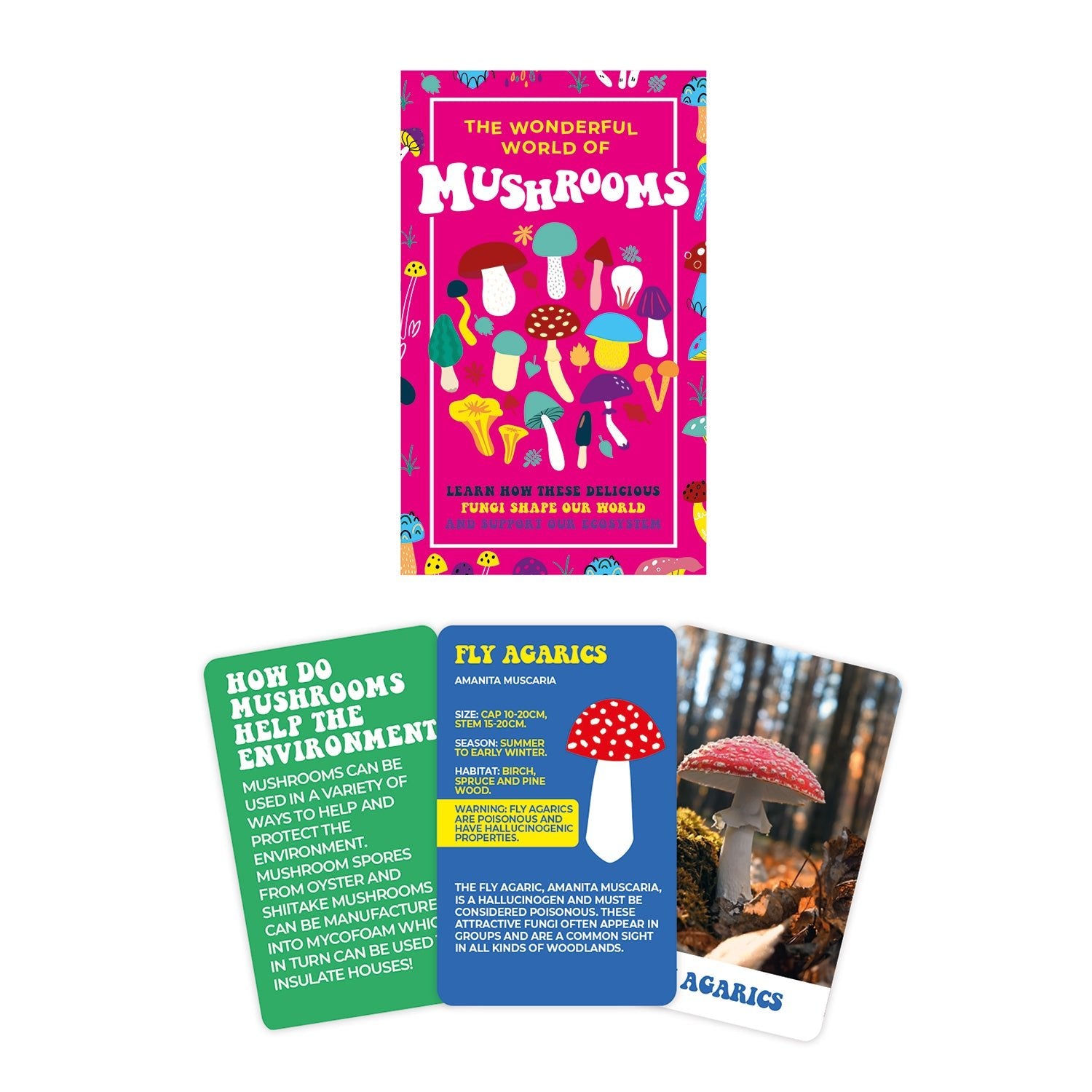 The wonderful world of mushrooms information card deck - Gizmo Gifts