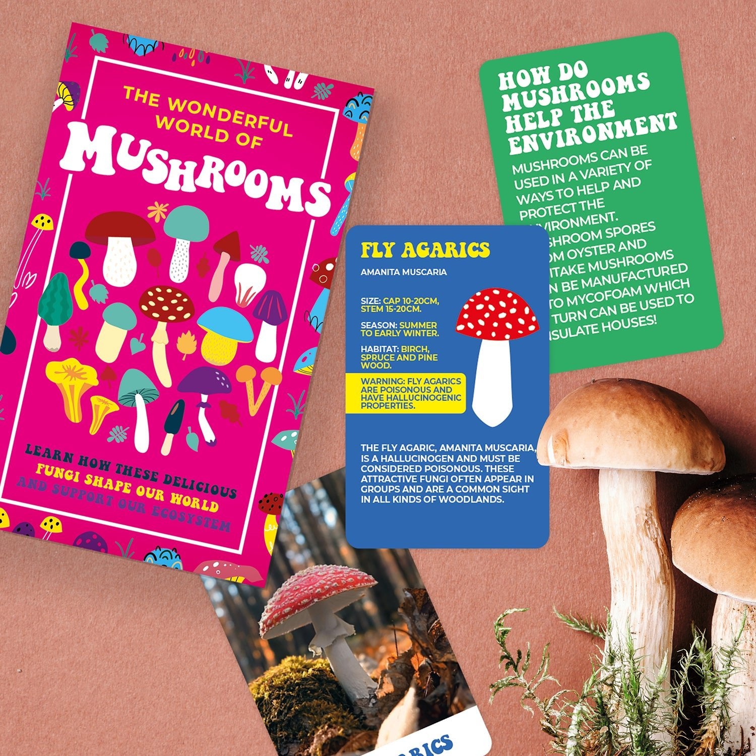 The wonderful world of mushrooms information card deck - Gizmo Gifts