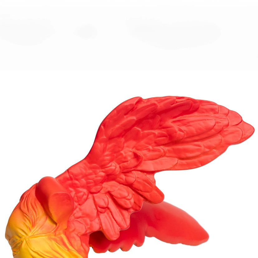 A view of the redwings of the statue as a close up detail on a white background.
