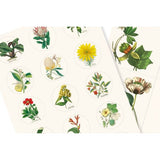 Label and Sticker book - Flora
